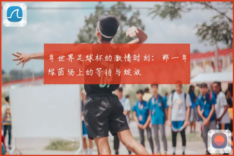 年世界足球杯的激情时刻:那一年绿茵场上的等待与绽放