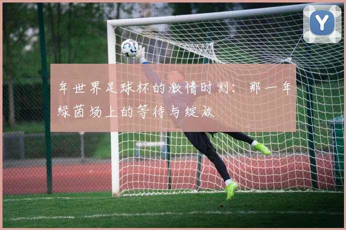 年世界足球杯的激情时刻:那一年绿茵场上的等待与绽放